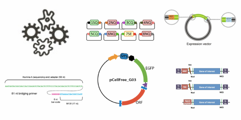 Kit Available at Addgene